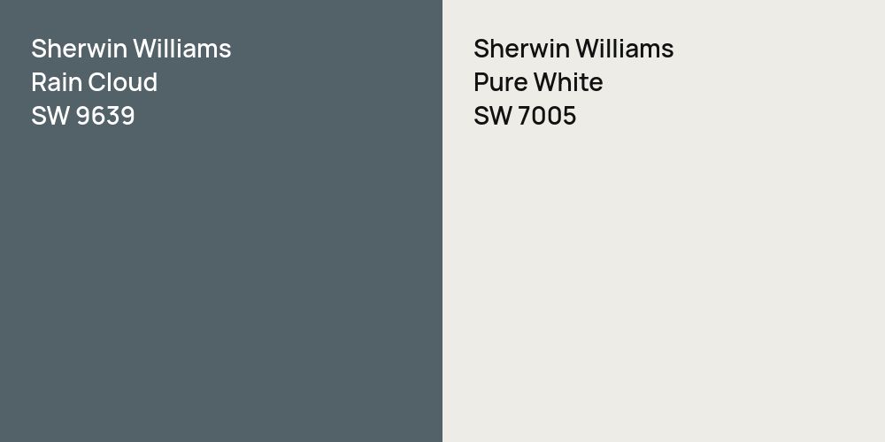 Sherwin Williams Rain Cloud vs. Sherwin Williams Pure White