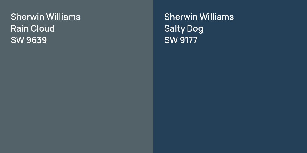 Sherwin Williams Rain Cloud vs. Sherwin Williams Salty Dog