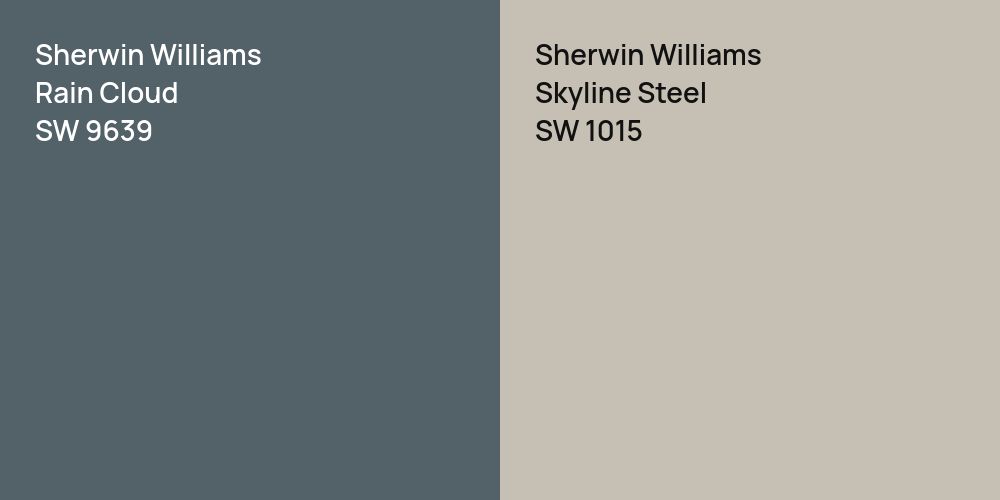 Sherwin Williams Rain Cloud vs. Sherwin Williams Skyline Steel