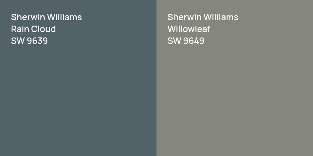 Sherwin Williams Rain Cloud vs. Sherwin Williams Willowleaf