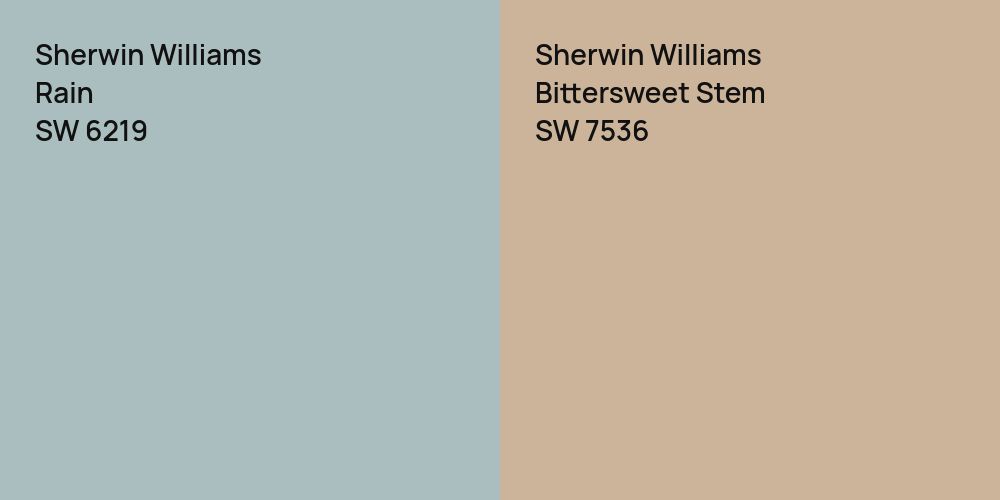 Sherwin Williams Rain vs. Sherwin Williams Bittersweet Stem