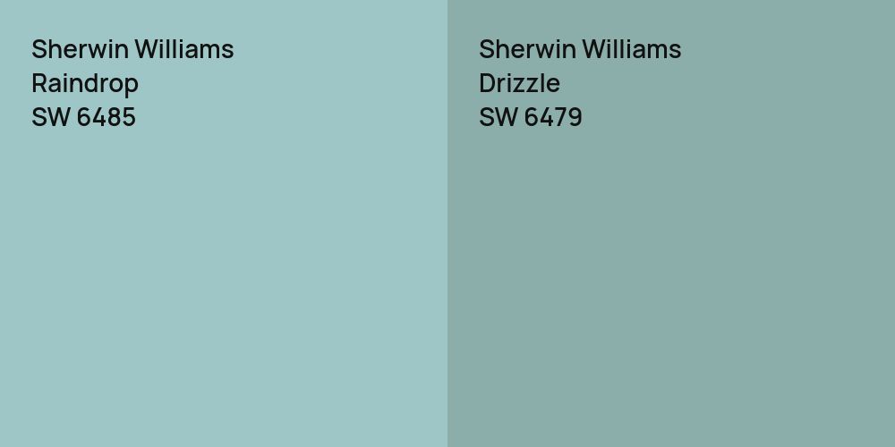 Sherwin Williams Raindrop vs. Sherwin Williams Drizzle