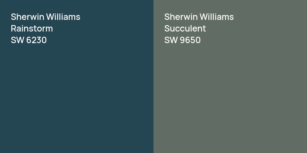 Sherwin Williams Rainstorm vs. Sherwin Williams Succulent