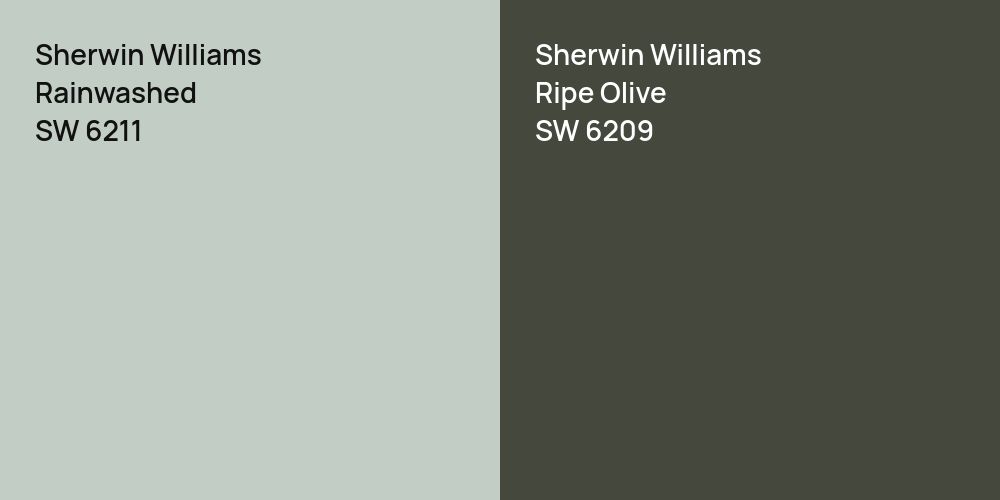 Sherwin Williams Rainwashed vs. Sherwin Williams Ripe Olive