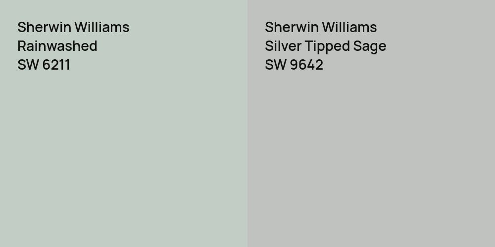 Sherwin Williams Rainwashed vs. Sherwin Williams Silver Tipped Sage