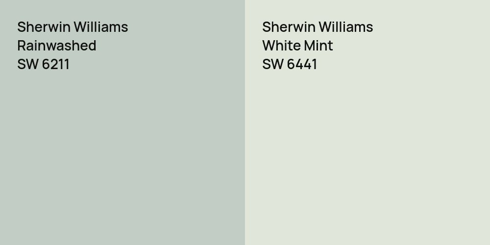 Sherwin Williams Rainwashed vs. Sherwin Williams White Mint