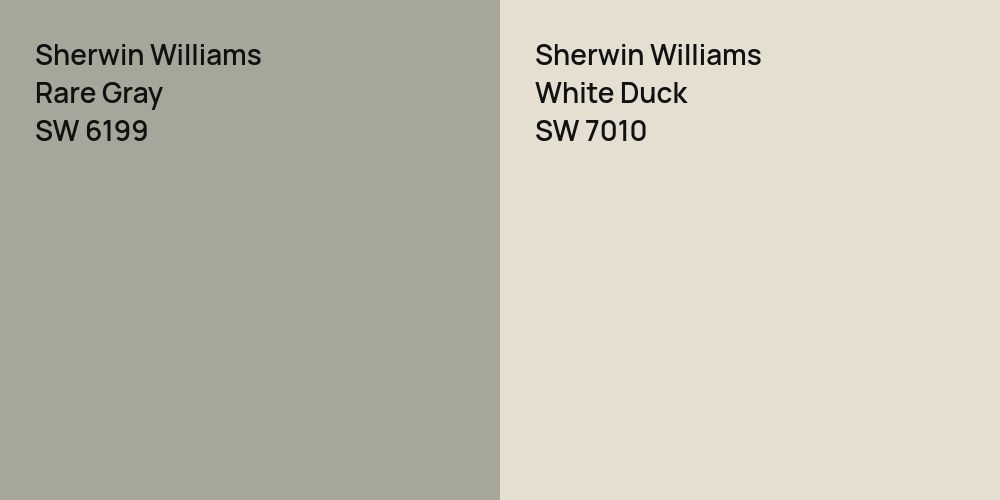 Sherwin Williams Rare Gray vs. Sherwin Williams White Duck