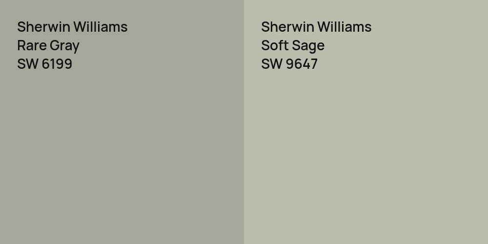 Sherwin Williams Rare Gray vs. Sherwin Williams Soft Sage