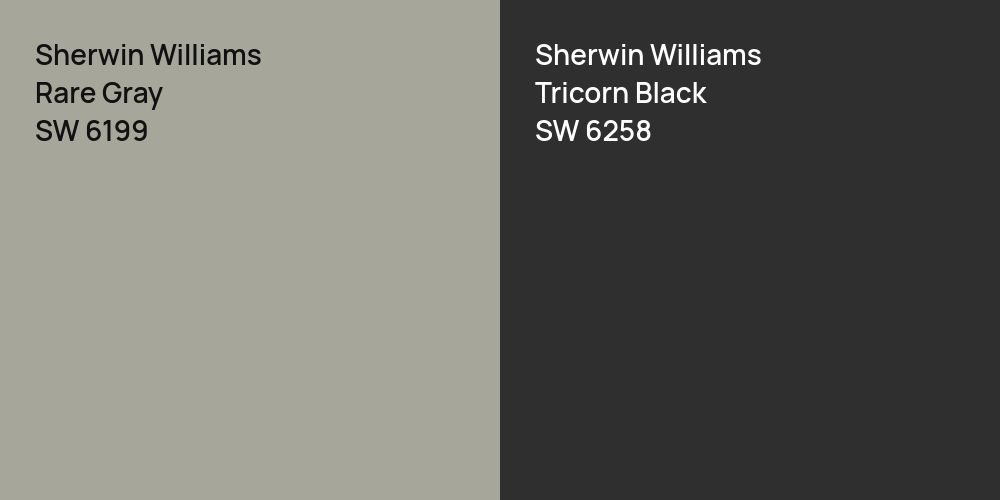 Sherwin Williams Rare Gray vs. Sherwin Williams Tricorn Black