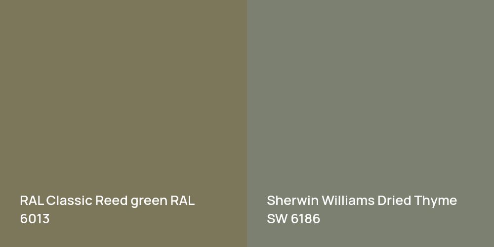 RAL Classic  Reed green vs. Sherwin Williams Dried Thyme