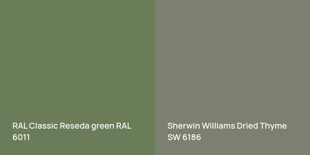 RAL Classic  Reseda green vs. Sherwin Williams Dried Thyme