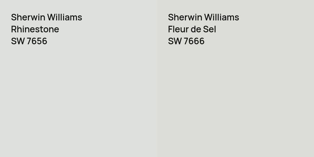 Sherwin Williams Rhinestone vs. Sherwin Williams Fleur de Sel