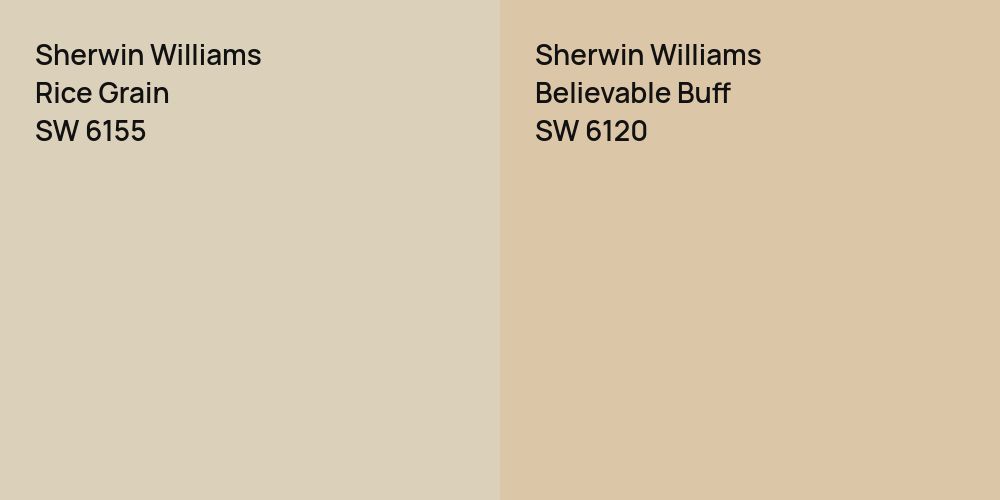 Sherwin Williams Rice Grain vs. Sherwin Williams Believable Buff