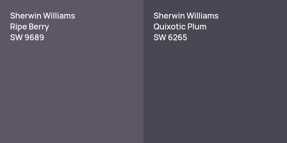 Sherwin Williams Ripe Berry vs. Sherwin Williams Quixotic Plum