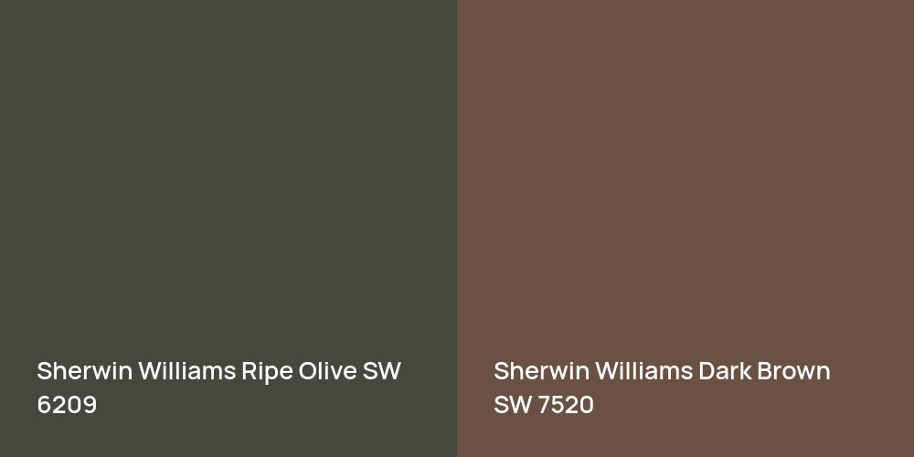 Sherwin Williams Ripe Olive vs. Sherwin Williams Dark Brown