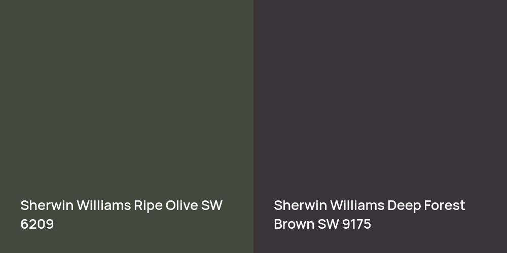 Sherwin Williams Ripe Olive vs. Sherwin Williams Deep Forest Brown