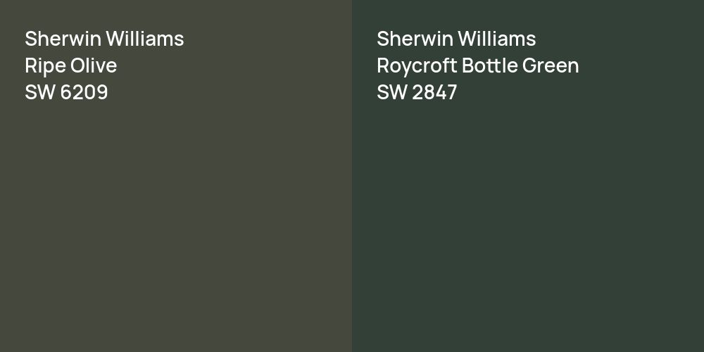 Sherwin Williams Ripe Olive vs. Sherwin Williams Roycroft Bottle Green