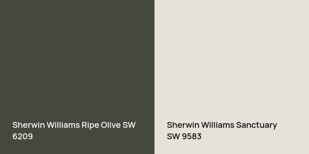 Sherwin Williams Ripe Olive vs. Sherwin Williams Sanctuary