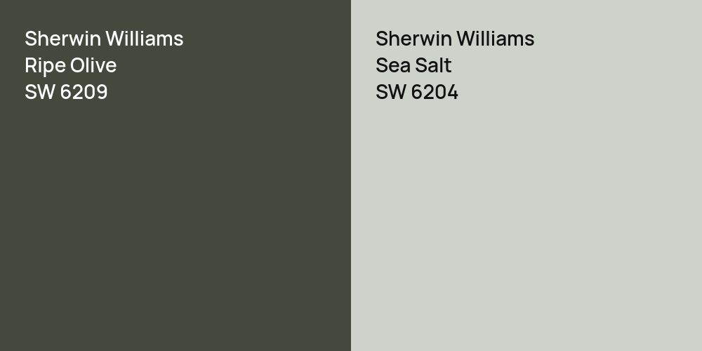 Sherwin Williams Ripe Olive vs. Sherwin Williams Sea Salt