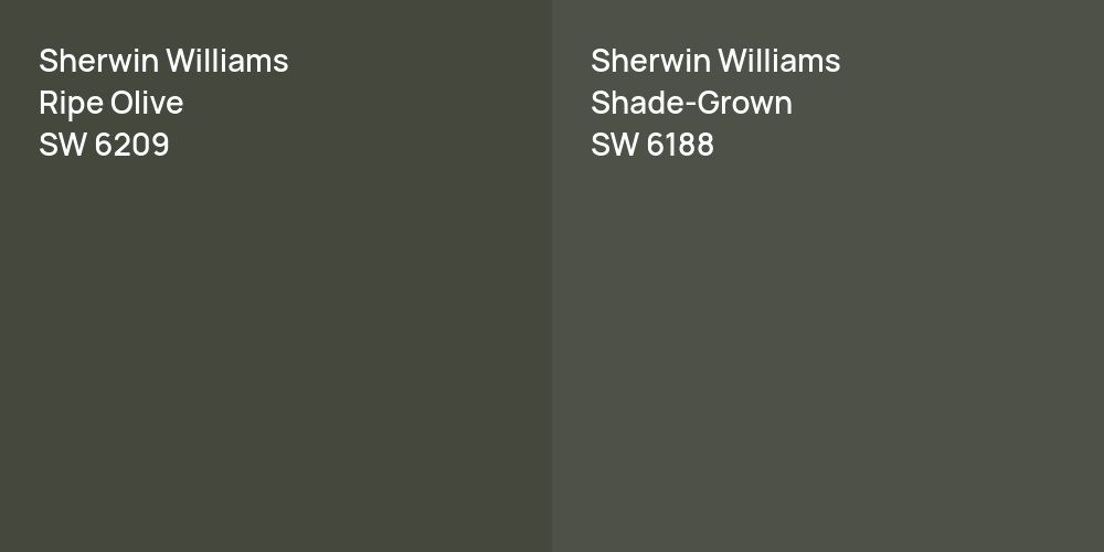 Sherwin Williams Ripe Olive vs. Sherwin Williams Shade-Grown