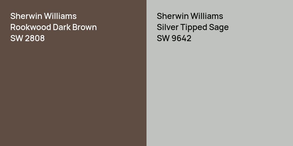 Sherwin Williams Rookwood Dark Brown vs. Sherwin Williams Silver Tipped Sage