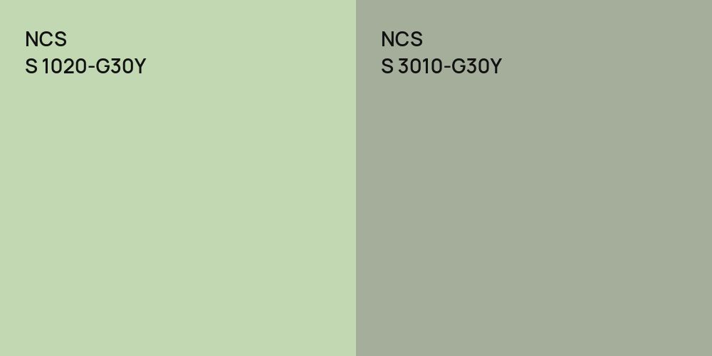 NCS S 1020-G30Y vs. NCS S 3010-G30Y