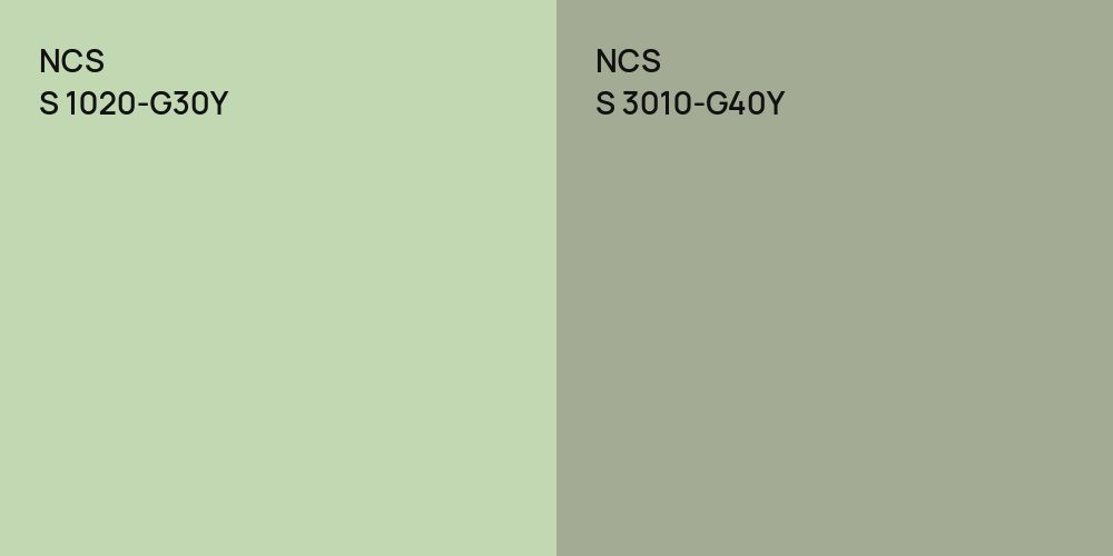 NCS S 1020-G30Y vs. NCS S 3010-G40Y