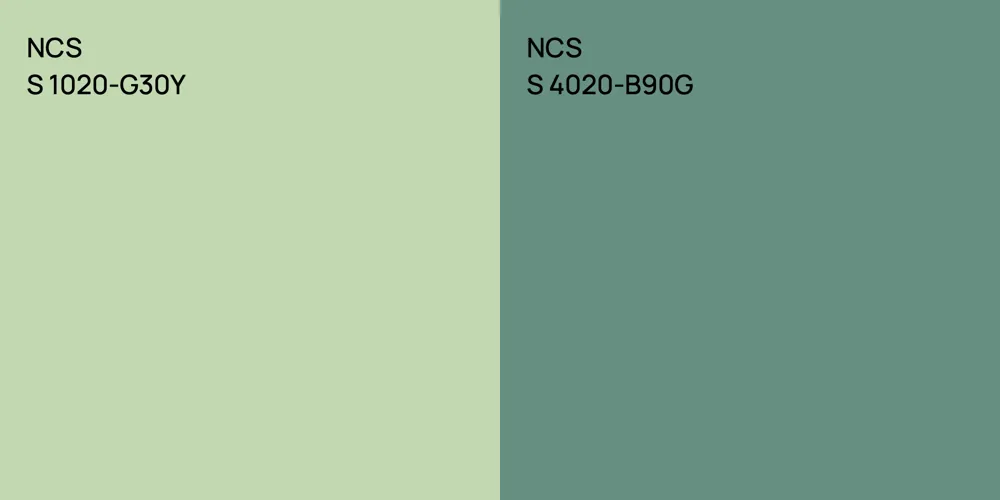 NCS S 1020-G30Y vs. NCS S 4020-B90G