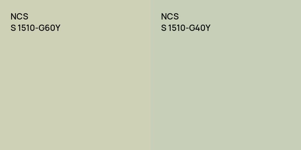 NCS S 1510-G60Y vs. NCS S 1510-G40Y