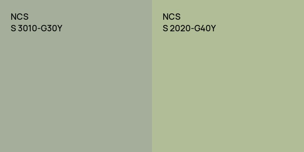 NCS S 3010-G30Y vs. NCS S 2020-G40Y