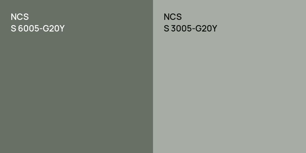 NCS S 6005-G20Y vs. NCS S 3005-G20Y