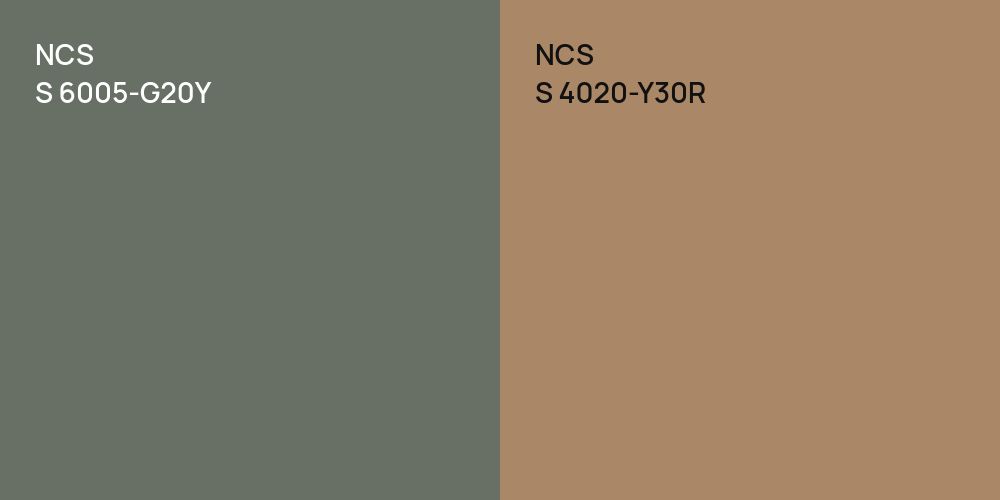 NCS S 6005-G20Y vs. NCS S 4020-Y30R