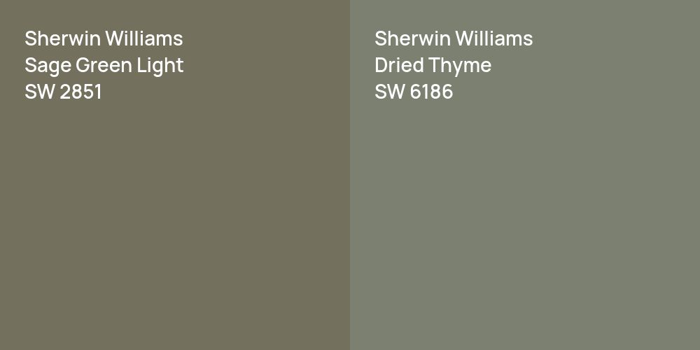 Sherwin Williams Sage Green Light vs. Sherwin Williams Dried Thyme