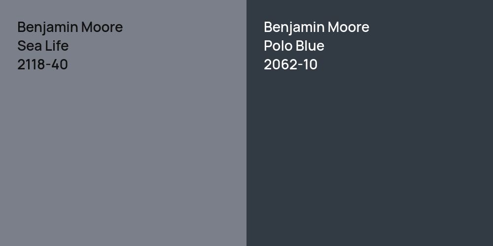 Benjamin Moore Sea Life vs. Benjamin Moore Polo Blue