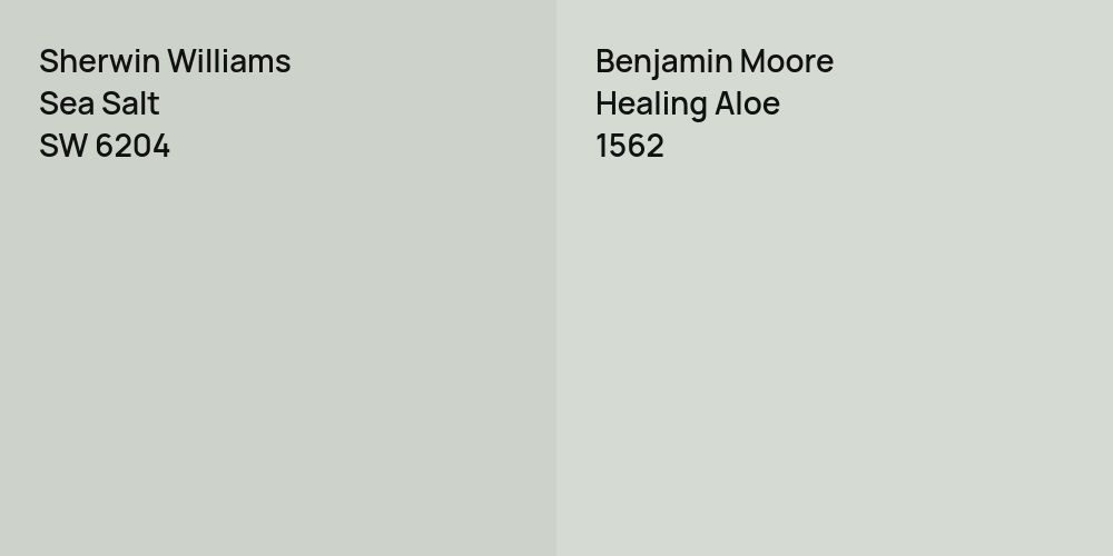 Sherwin Williams Sea Salt vs. Benjamin Moore Healing Aloe