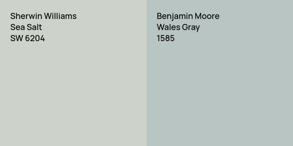 Sherwin Williams Sea Salt vs. Benjamin Moore Wales Gray