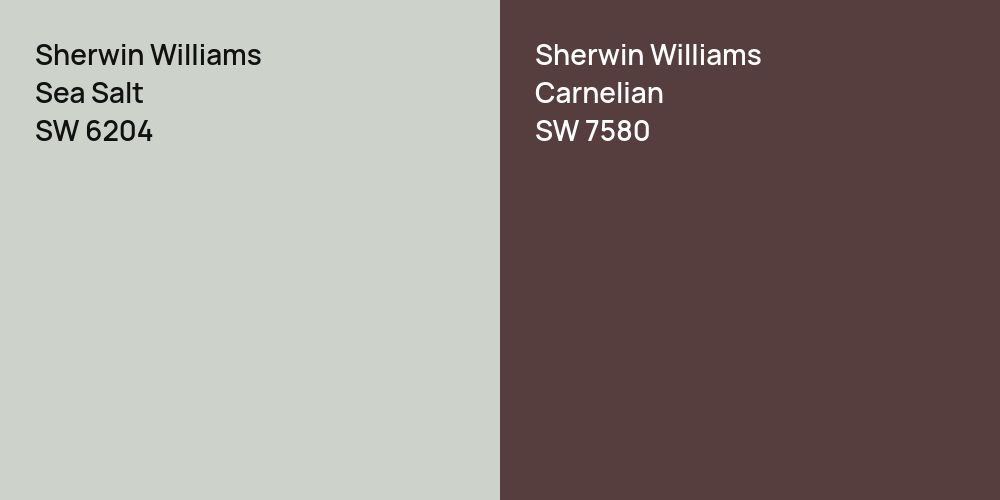 Sherwin Williams Sea Salt vs. Sherwin Williams Carnelian