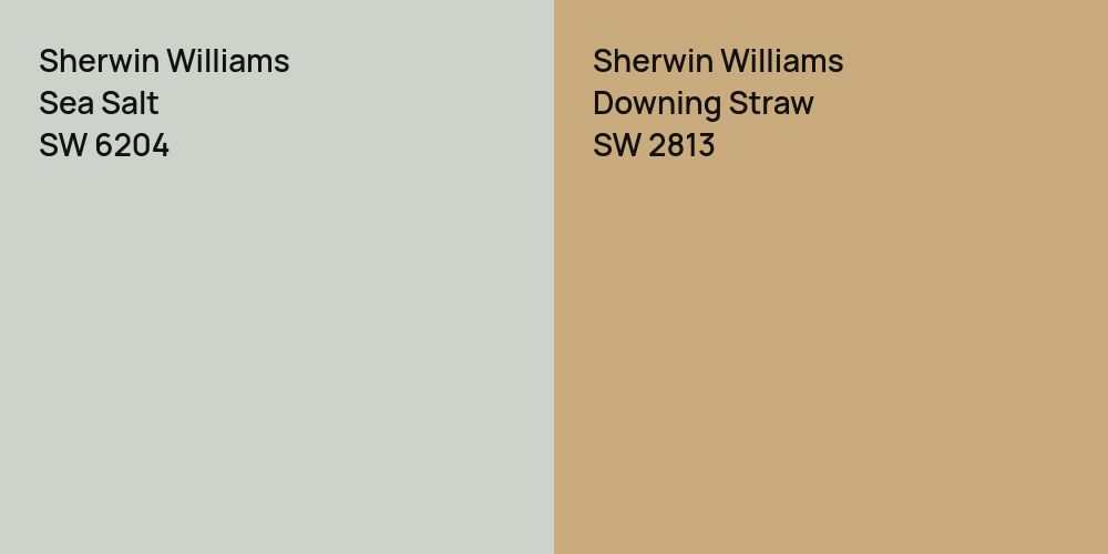 Sherwin Williams Sea Salt vs. Sherwin Williams Downing Straw