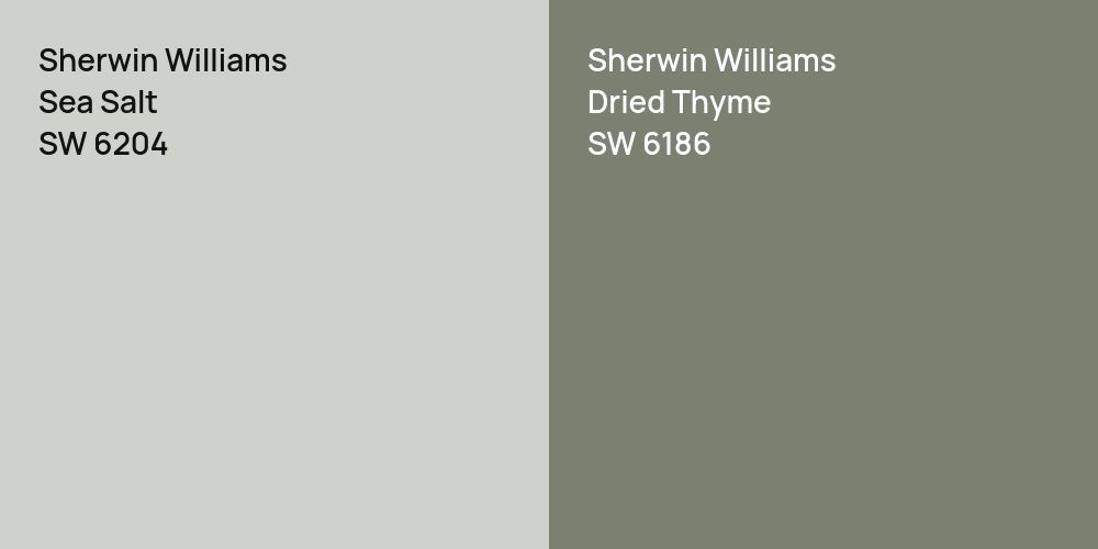 Sherwin Williams Sea Salt vs. Sherwin Williams Dried Thyme