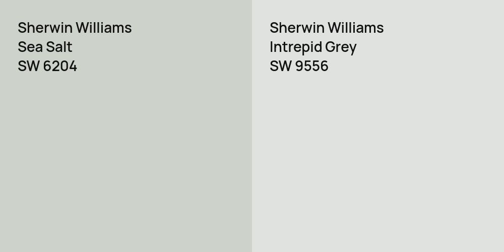 Sherwin Williams Sea Salt vs. Sherwin Williams Intrepid Grey