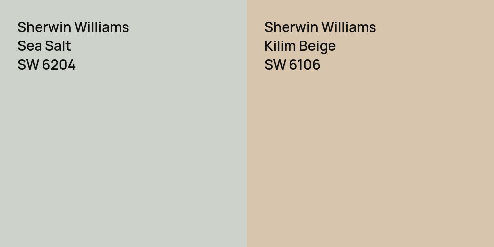 Sherwin Williams Sea Salt vs. Sherwin Williams Kilim Beige