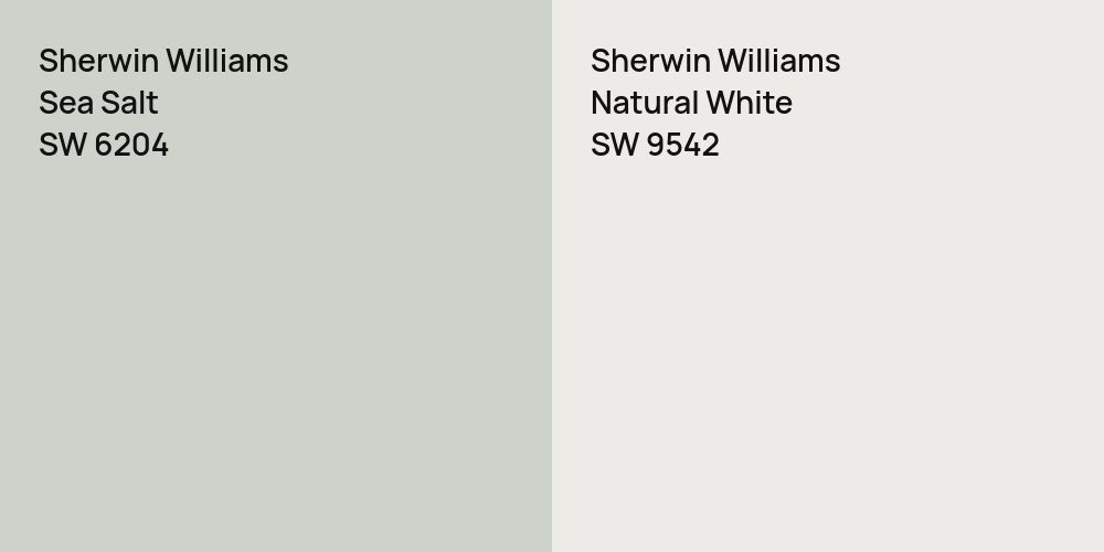 Sherwin Williams Sea Salt vs. Sherwin Williams Natural White