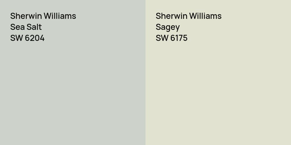 Sherwin Williams Sea Salt vs. Sherwin Williams Sagey