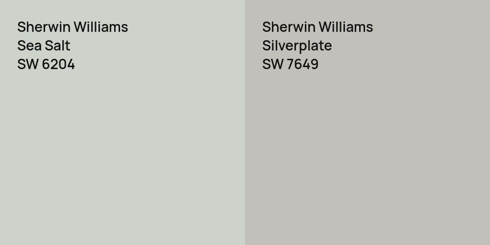 Sherwin Williams Sea Salt vs. Sherwin Williams Silverplate