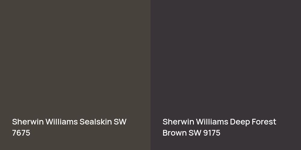 Sherwin Williams Sealskin vs. Sherwin Williams Deep Forest Brown