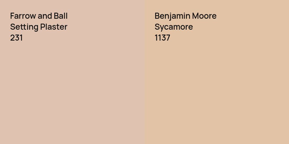 Farrow and Ball Setting Plaster vs. Benjamin Moore Sycamore