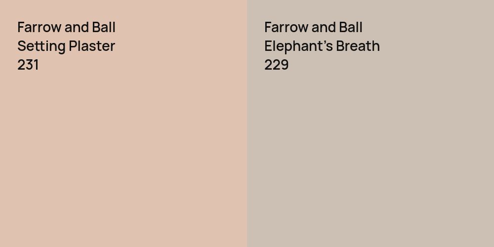 Farrow and Ball Setting Plaster vs. Farrow and Ball Elephant's Breath