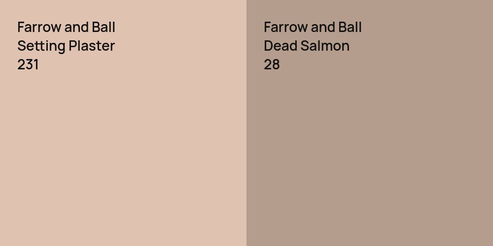 Farrow and Ball Setting Plaster vs. Farrow and Ball Dead Salmon