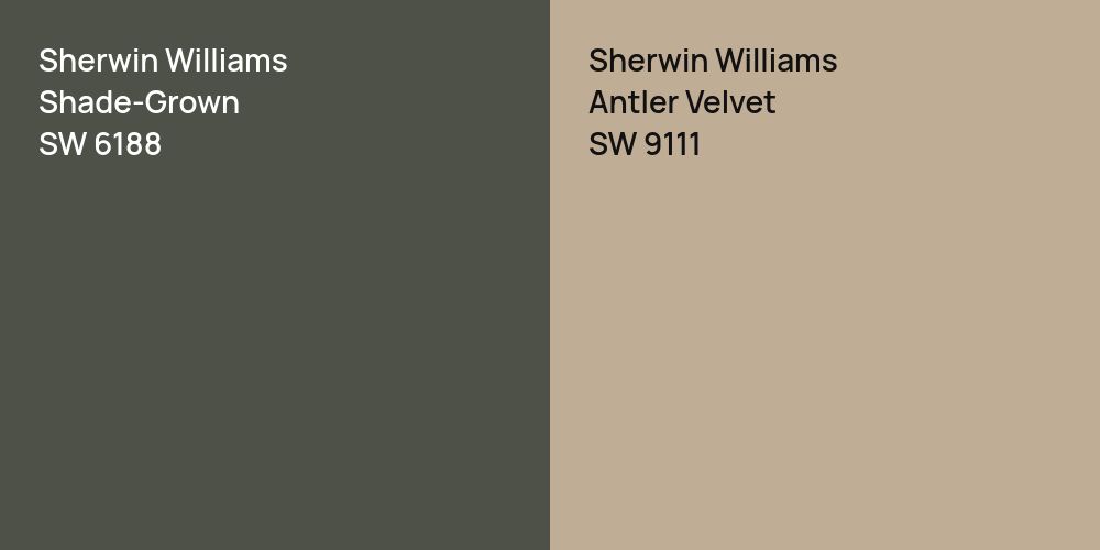 Sherwin Williams Shade-Grown vs. Sherwin Williams Antler Velvet