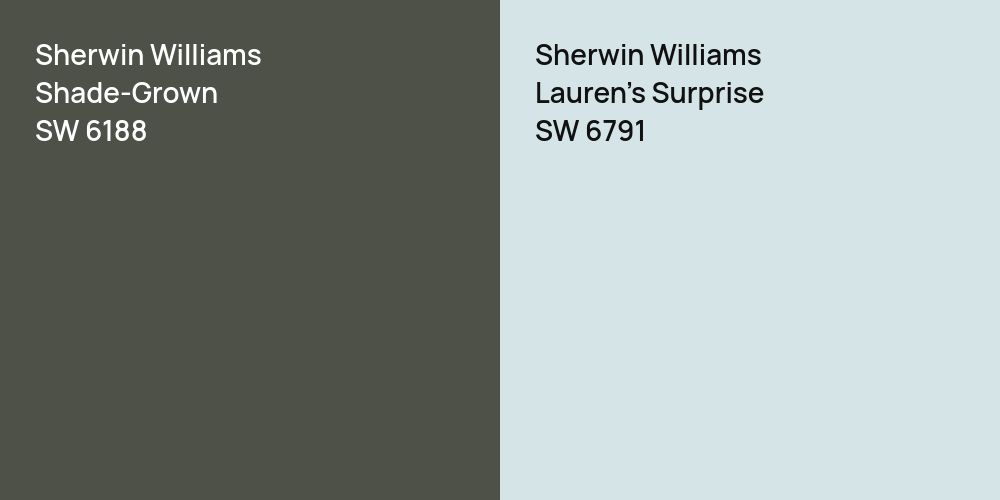 Sherwin Williams Shade-Grown vs. Sherwin Williams Lauren's Surprise